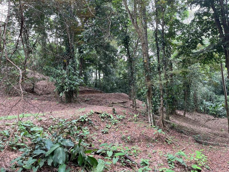 0 bed Land For Sale in Cahuita, Limón - hero 9