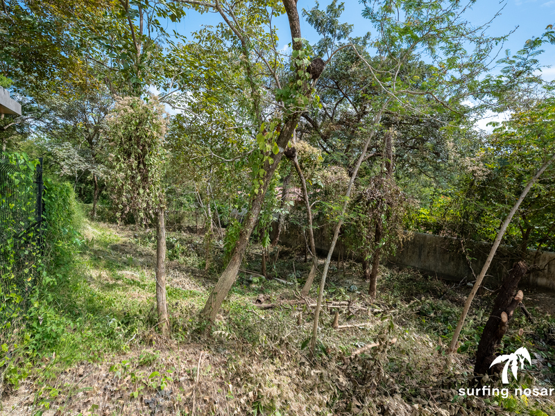 0 bed Land For Sale in Nosara, Guanacaste - hero 4