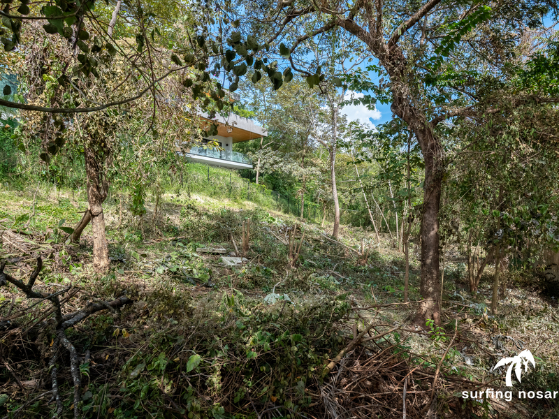 0 bed Land For Sale in Nosara, Guanacaste - hero 3