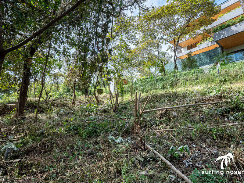 0 bed Land For Sale in Nosara, Guanacaste - 1