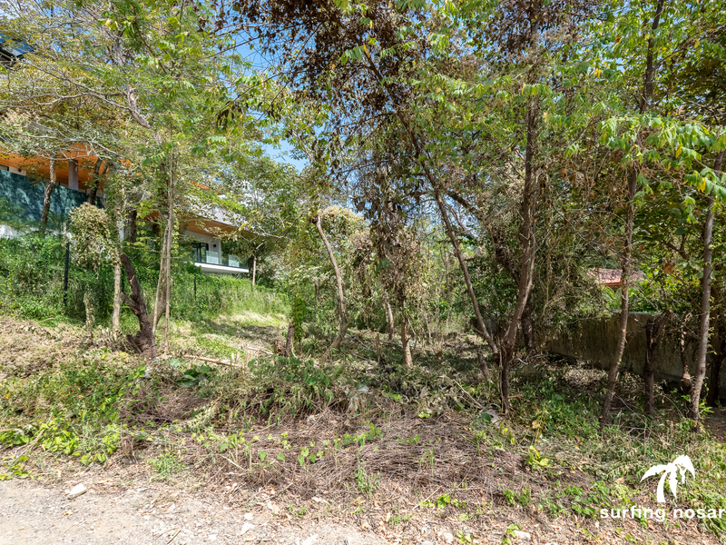 0 bed Land For Sale in Nosara, Guanacaste - hero 5