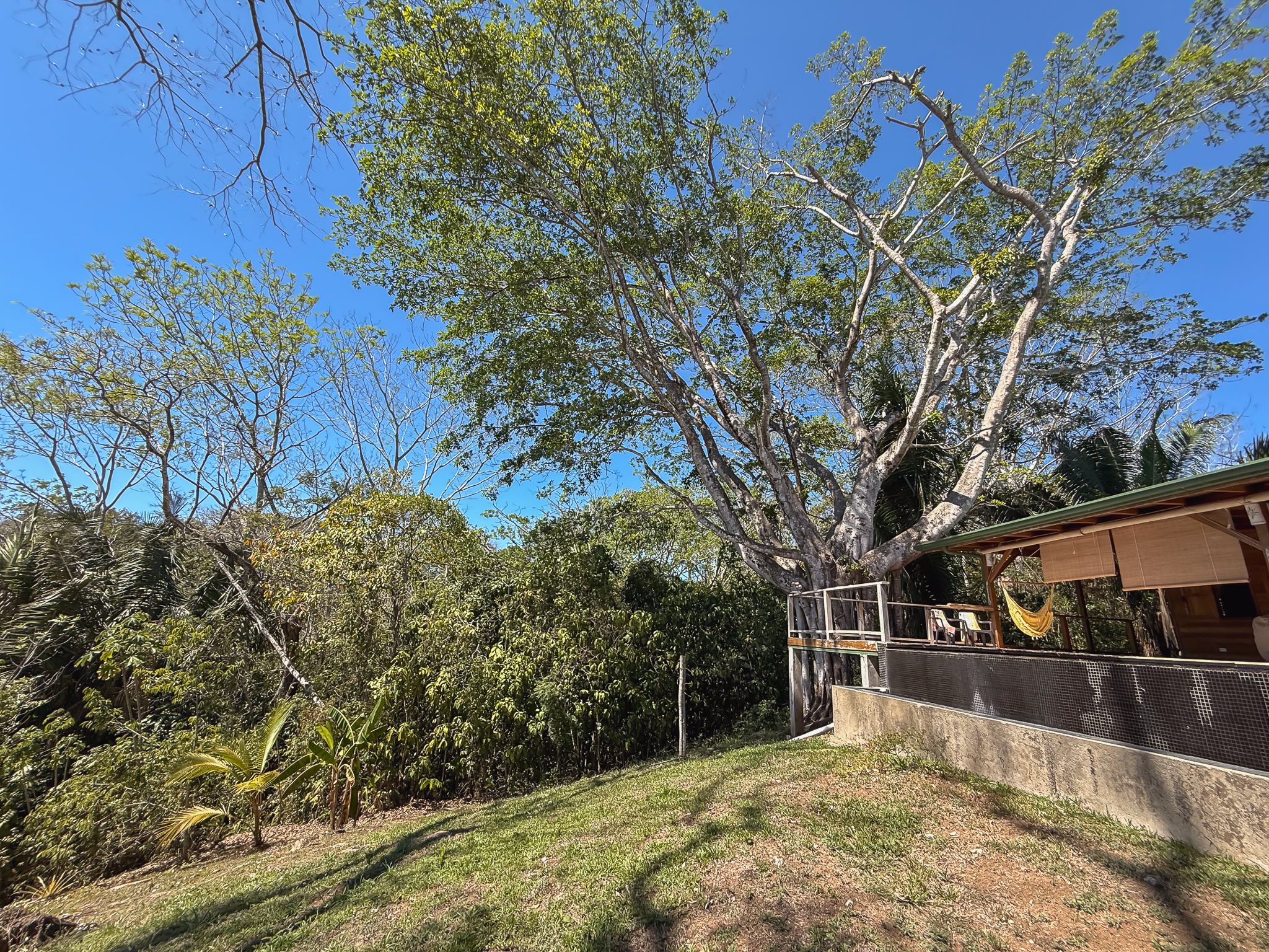 3 bed Single Family Homes For Sale in Manzanillo, Puntarenas - thumb 7
