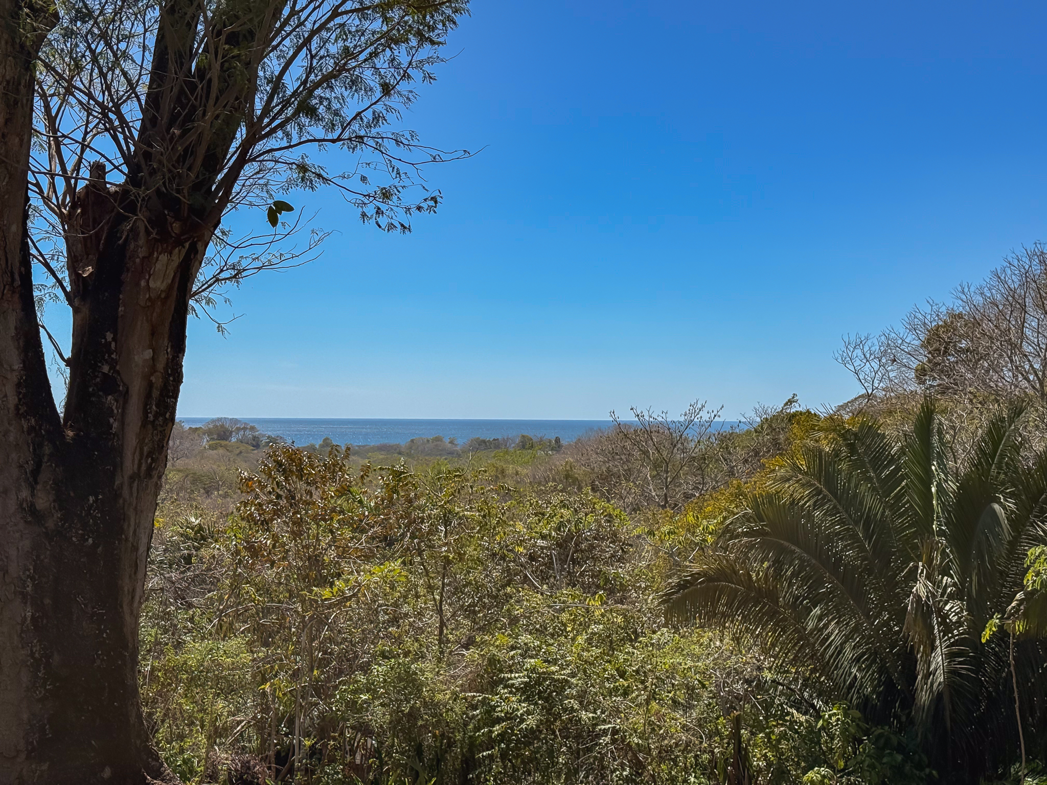 3 bed Single Family Homes For Sale in Manzanillo, Puntarenas - thumb 3