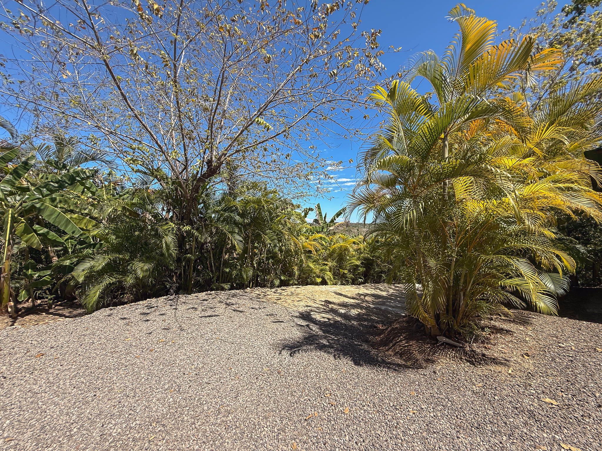 3 bed Single Family Homes For Sale in Manzanillo, Puntarenas - thumb 10