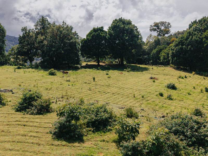 0 bed Land For Sale in Dota, San Jose - 1