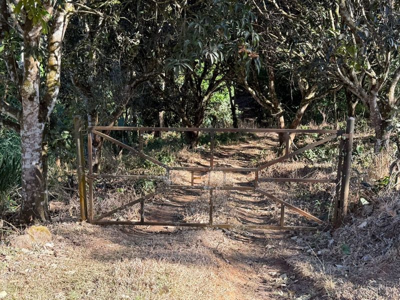 0 bed Single Family Homes For Sale in Atenas, Alajuela - hero 2