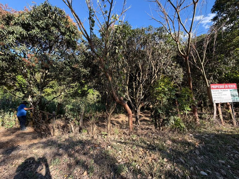 0 bed Single Family Homes For Sale in Atenas, Alajuela - hero 10