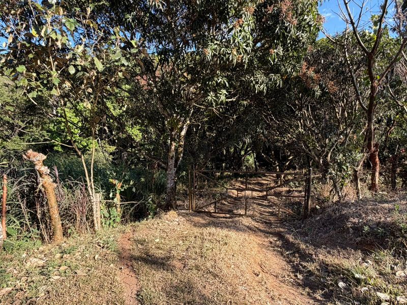 0 bed Single Family Homes For Sale in Atenas, Alajuela - 1