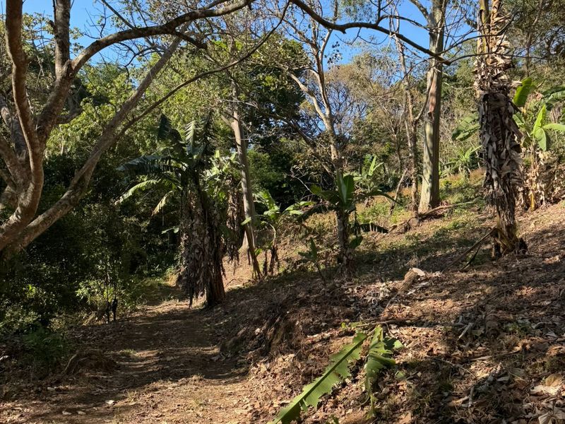 0 bed Single Family Homes For Sale in Atenas, Alajuela - hero 6