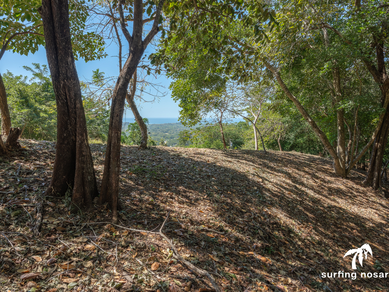 0 bed Land For Sale in Nosara, Guanacaste - hero 2