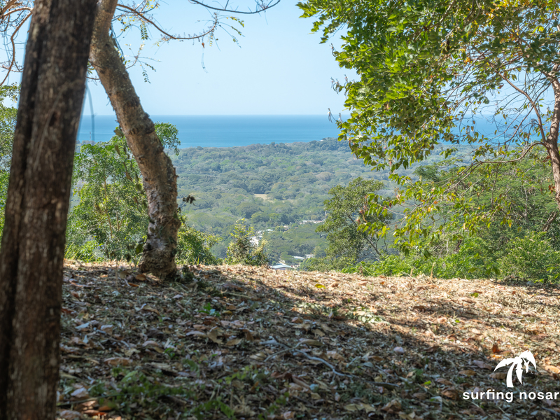 0 bed Land For Sale in Nosara, Guanacaste - 1