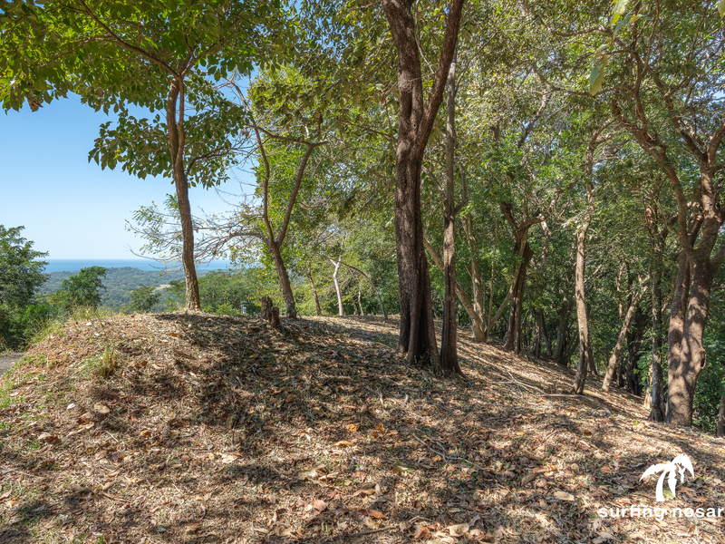 0 bed Land For Sale in Nosara, Guanacaste - hero 4