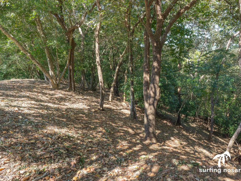 0 bed Land For Sale in Nosara, Guanacaste - hero 5
