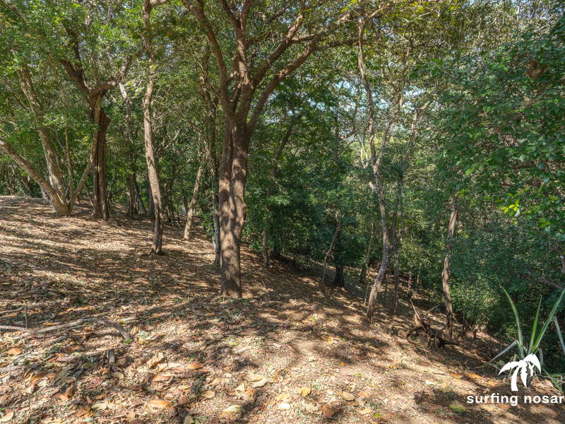0 bed Land For Sale in Nosara, Guanacaste - hero 6