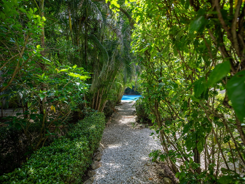 3 bed Single Family Homes For Sale in Nosara, Guanacaste - hero 15