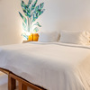  - Turnkey Income-Producing Boutique Hotel in Central Santa Teresa