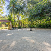  - Boutique Multi-Cabin Investment Near Los Cedros Surf Break
