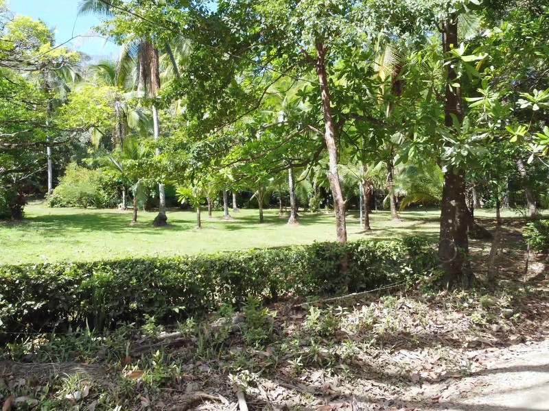 0 bed Land For Sale in Nicoya Peninsula, Guanacaste - hero 3