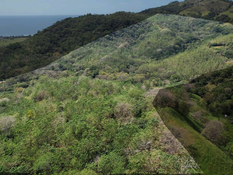0 bed Land For Sale in Nicoya Peninsula, Guanacaste - hero 7