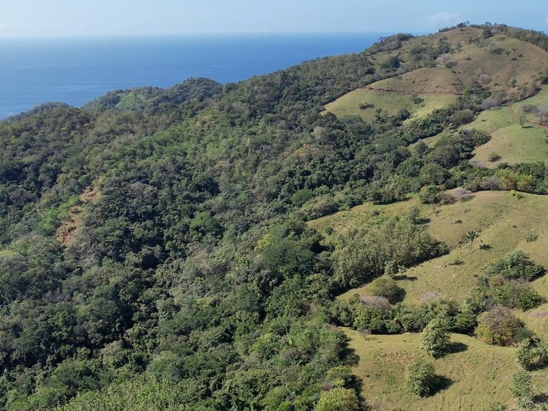 0 bed Land For Sale in Nicoya Peninsula, Guanacaste - hero 5