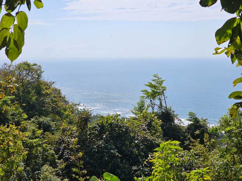 0 bed Land For Sale in Nicoya Peninsula, Guanacaste - hero 8
