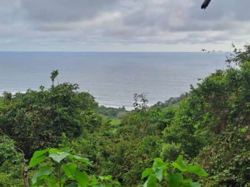 0 bed Land For Sale in Nicoya Peninsula, Guanacaste - hero 4