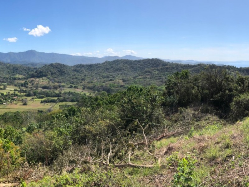 0 bed Land For Sale in Nicoya Peninsula, Guanacaste - hero 3