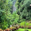  - Stunning Waterfall Home + Guest Casita - Cascada Azul