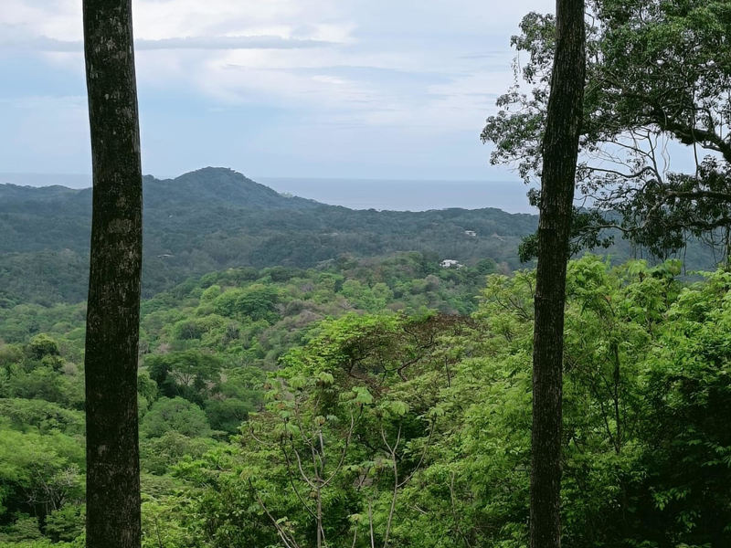 0 bed Land For Sale in Samara, Guanacaste - hero 3
