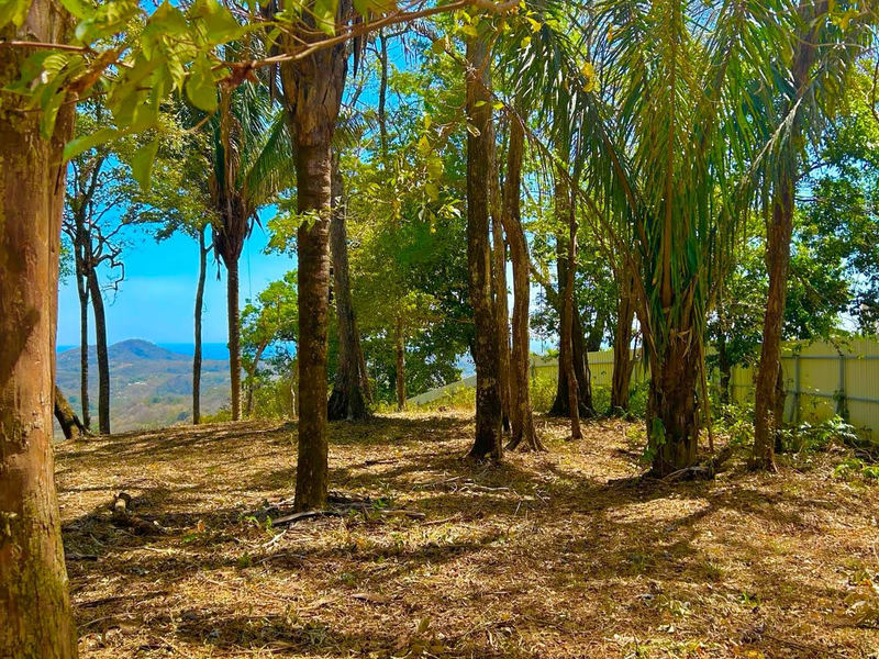 0 bed Land For Sale in Samara, Guanacaste - hero 2