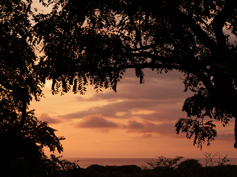 3 bed Single Family Homes For Rent in Nosara, Guanacaste - hero 3