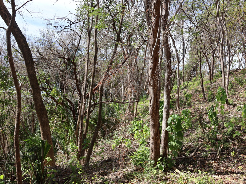 0 bed Land For Sale in Playa Coyote, Guanacaste - hero 6