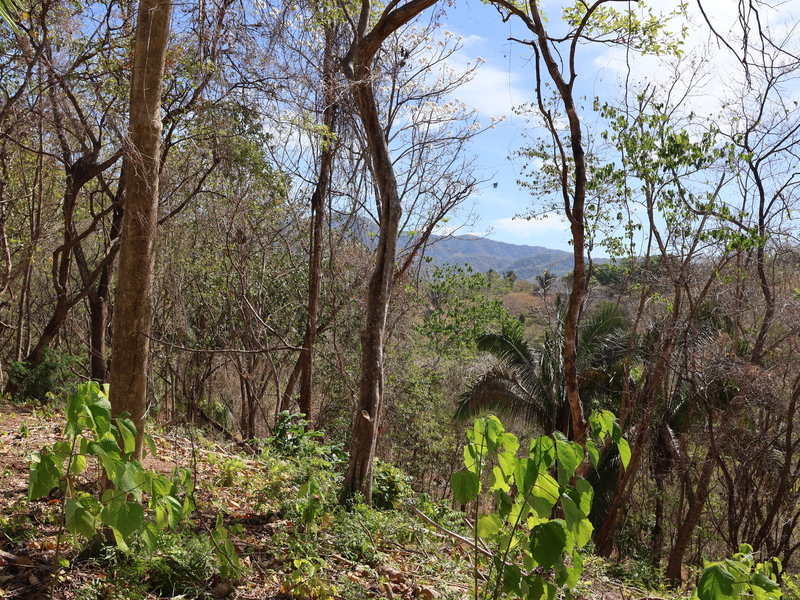 0 bed Land For Sale in Playa Coyote, Guanacaste - 1