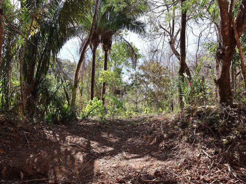 0 bed Land For Sale in Playa Coyote, Guanacaste - hero 3