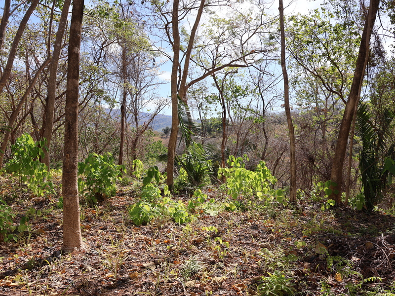 0 bed Land For Sale in Playa Coyote, Guanacaste - hero 14