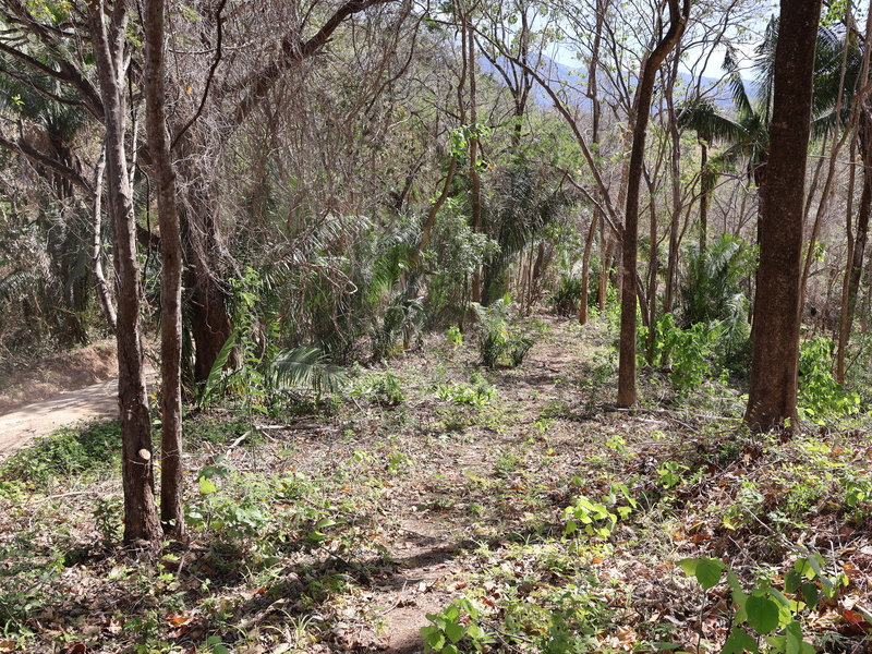 0 bed Land For Sale in Playa Coyote, Guanacaste - hero 8