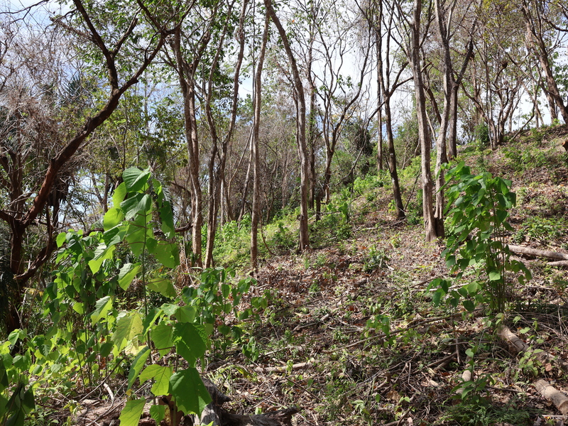 0 bed Land For Sale in Playa Coyote, Guanacaste - hero 18