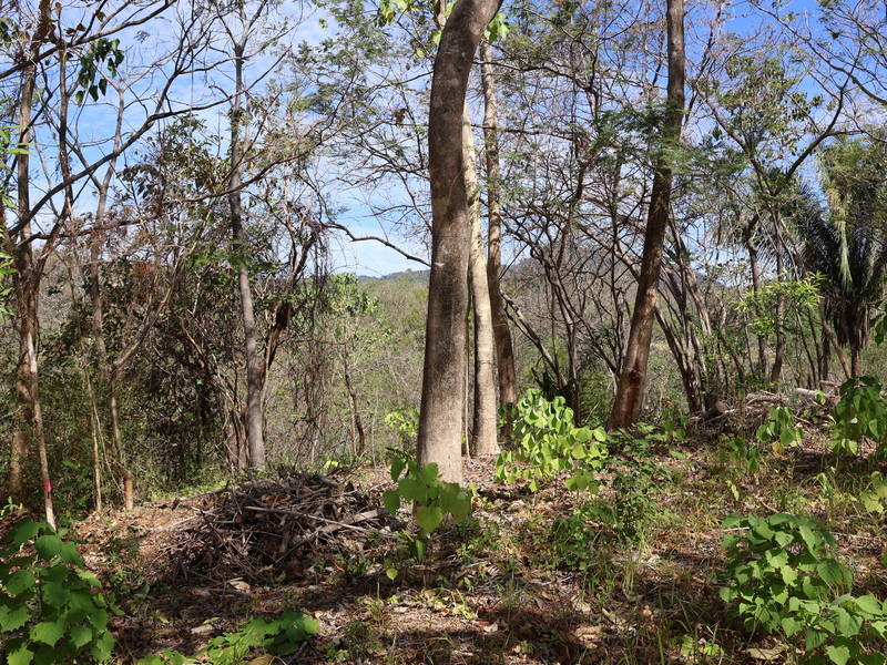 0 bed Land For Sale in Playa Coyote, Guanacaste - hero 13