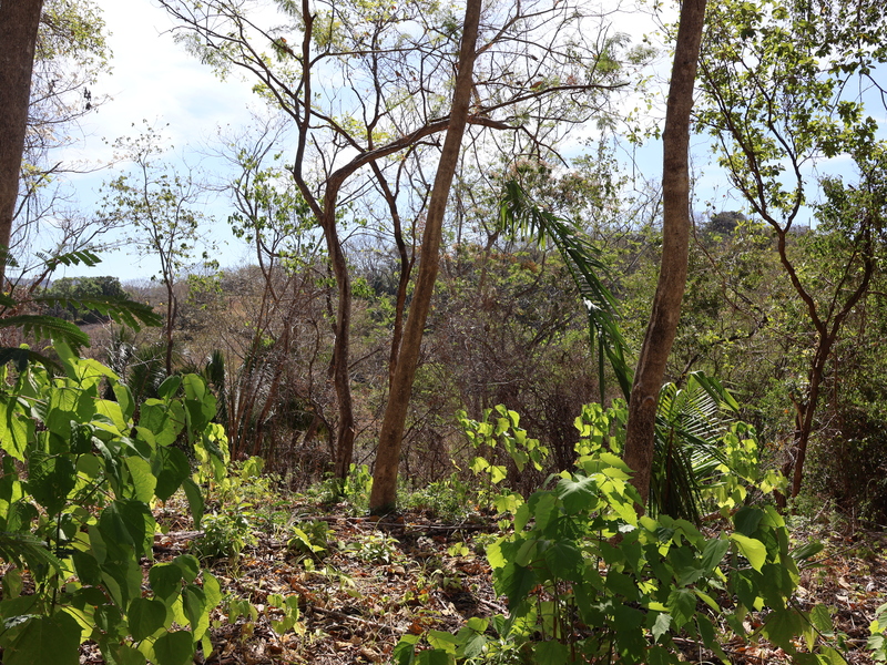 0 bed Land For Sale in Playa Coyote, Guanacaste - hero 15