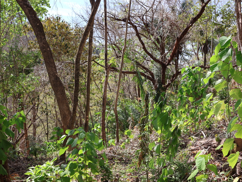 0 bed Land For Sale in Playa Coyote, Guanacaste - hero 17