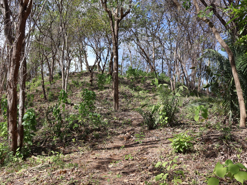 0 bed Land For Sale in Playa Coyote, Guanacaste - hero 2