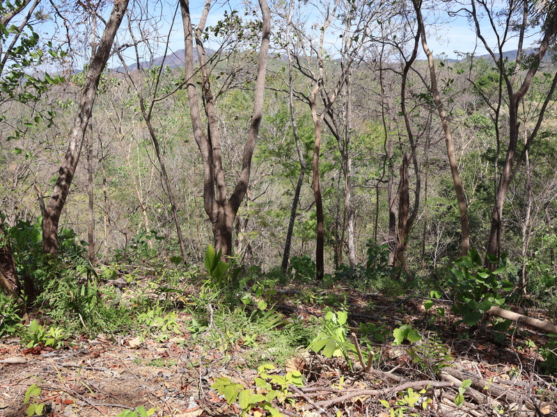 0 bed Land For Sale in Playa Coyote, Guanacaste - hero 16