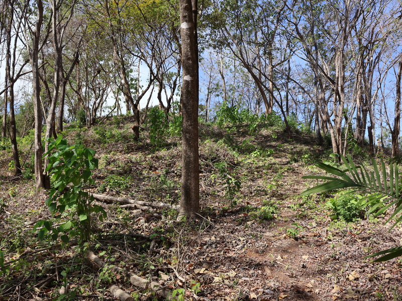 0 bed Land For Sale in Playa Coyote, Guanacaste - hero 19