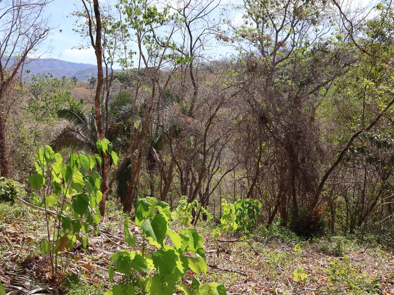 0 bed Land For Sale in Playa Coyote, Guanacaste - hero 10