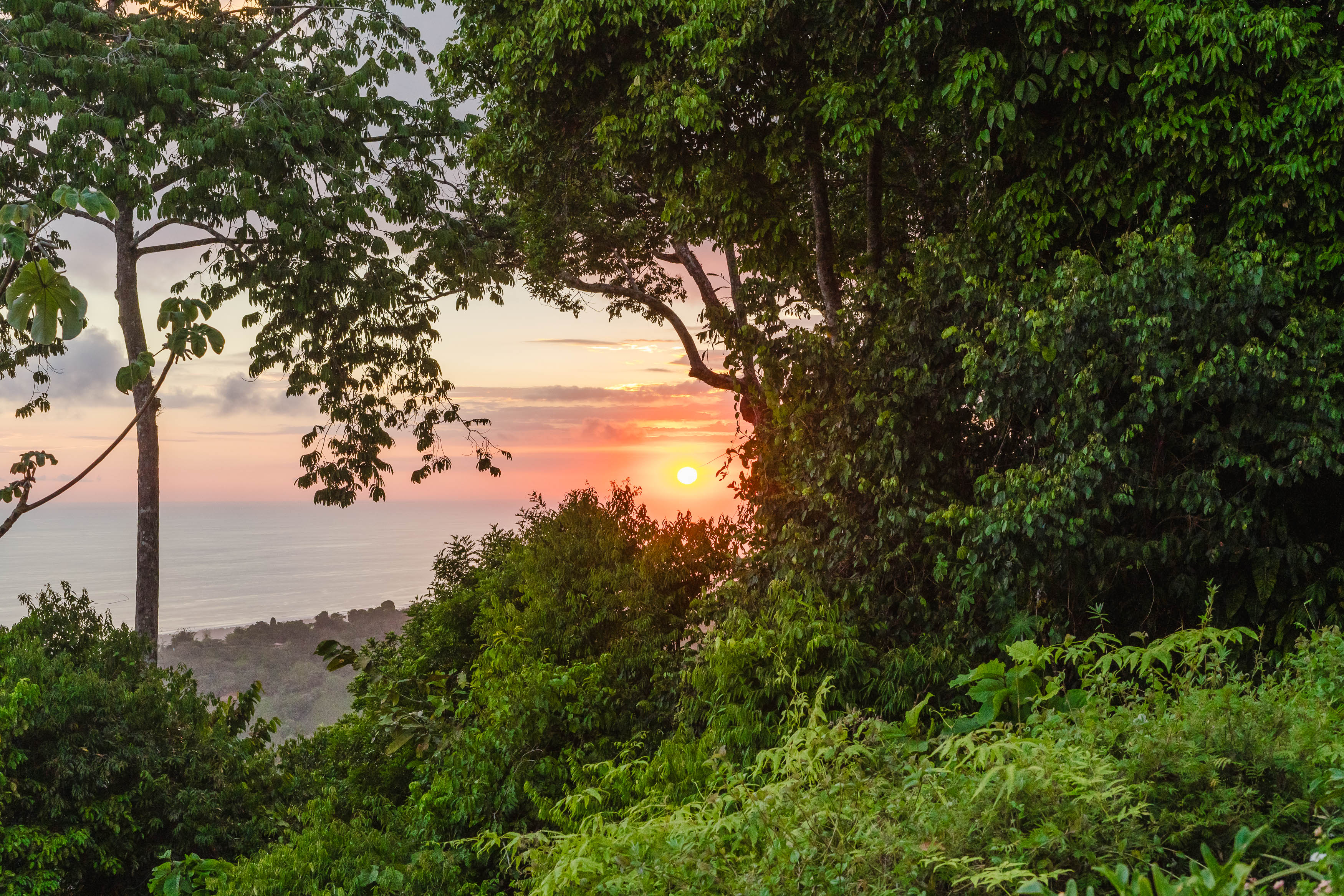 5 bed Single Family Homes For Sale in Dominical, Puntarenas - thumb 28