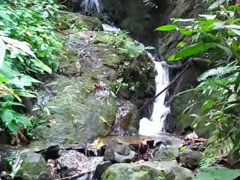 0 bed Land For Sale in Sierpe, Puntarenas - hero 3