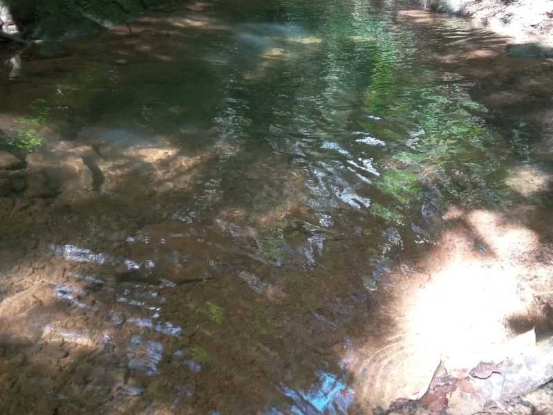 0 bed Land For Sale in Sierpe, Puntarenas - hero 14