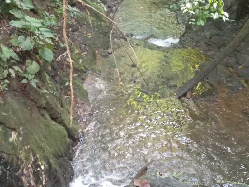 0 bed Land For Sale in Sierpe, Puntarenas - hero 13