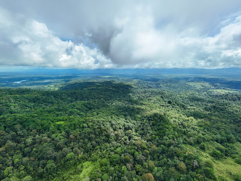 0 bed Land For Sale in Sierpe, Puntarenas - hero 7