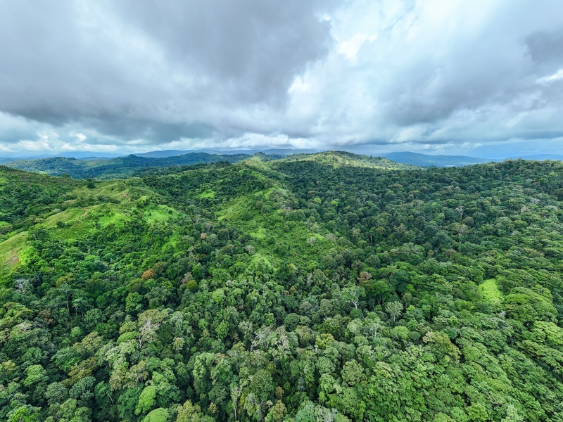 0 bed Land For Sale in Sierpe, Puntarenas - hero 9